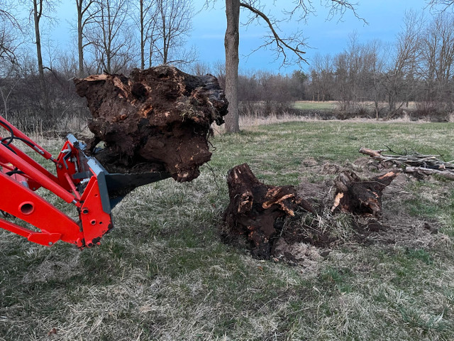 Tree Stump Bucket / Transplant Spade for tractor IN STOCK NOW in Farming Equipment in Oakville / Halton Region - Image 3