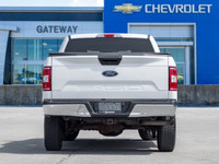 Ready for anything, built for everything. The 2019 Ford F-150 XLT 4x4 stands as a testament to Ameri... (image 8)