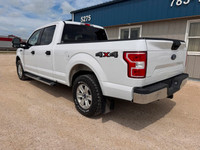 2020 Ford F-150 XLT Crew Cab 4x4 5.0L V8 for sale at Pacific Motors near, Winnipeg, MB CLEAN CARFAX-... (image 7)