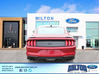 2020 MUSTANG - GT COUPE PREMIUM SERIES - LED HEADLAMPS & TAILIGHTS - LEATHER STEERING WHEEL W/ CONTR... (image 4)