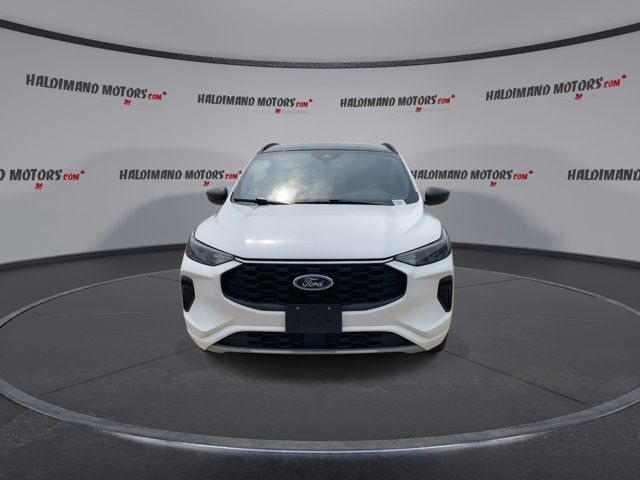 2023 Ford Escape ST-Line in Cars & Trucks in Hamilton - Image 3