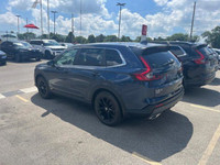 Come visit our London Honda team, you can find us at 560 Wharncliffe Rd S, London, ON, N6J 2N4, or c... (image 3)
