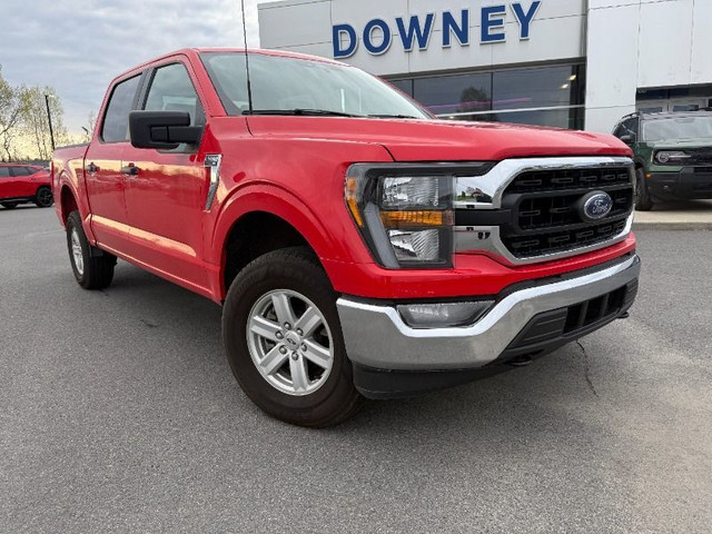 2023 Ford F-150 XLT *3.5L V6 ECOBOOST*REAR VIEW CAMERA* in Cars & Trucks in Saint John
