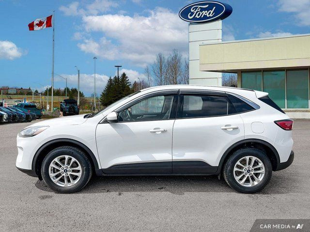 2020 Ford Escape SE | 200A| AWD| SUV in Cars & Trucks in Kitchener / Waterloo - Image 4