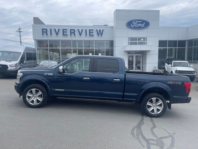  2019 Ford F-150 PLATINUM in Cars & Trucks in Fredericton - Image 2