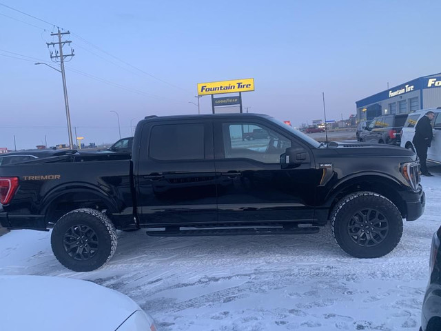 2023 Ford F-150 F-150 Tremor in Cars & Trucks in Edmonton - Image 4