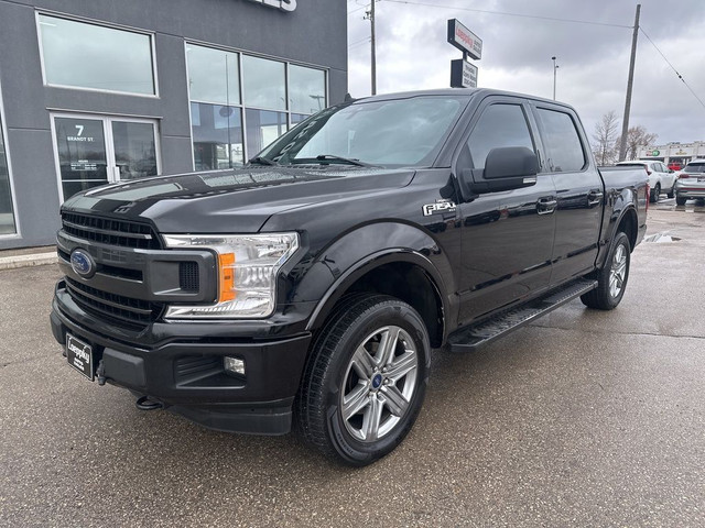 2019 Ford F-150 XLT 4WD SuperCrew 5.5' Box NO ACCIDENTS in Cars & Trucks in Winnipeg - Image 3