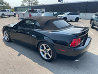 All vehicles come with a full vehicle History Report, ask to see it! 2003 Ford Mustang SVT 10th anni... (image 7)
