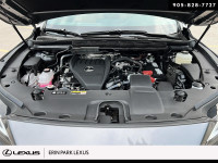 LUXURY Engine: LIGHT/MEDIUM DUTY L/100Km City: 11.2 L/100Km Hwy: 8.4 Safety Equipment Electronic Sta... (image 7)