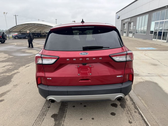 2020 Ford Escape SE in Cars & Trucks in Red Deer - Image 4
