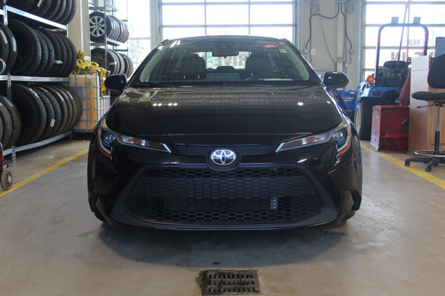 2020 Toyota Corolla LE TOYOTA CERTIFIED dans Autos et camions  à Miramichi - Image 2