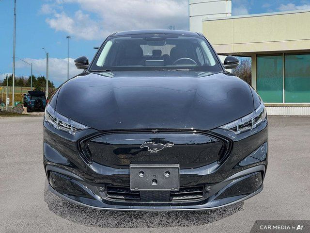 2025 Ford Mustang Mach-E Premium in Cars & Trucks in Kitchener / Waterloo - Image 3