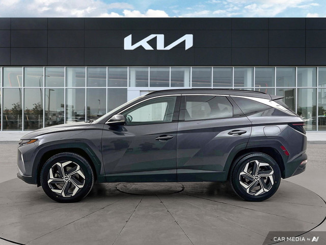 2023 Hyundai Tucson Hybrid Ultimate AWD | Local Vehicle | Heated in Cars & Trucks in Winnipeg - Image 3