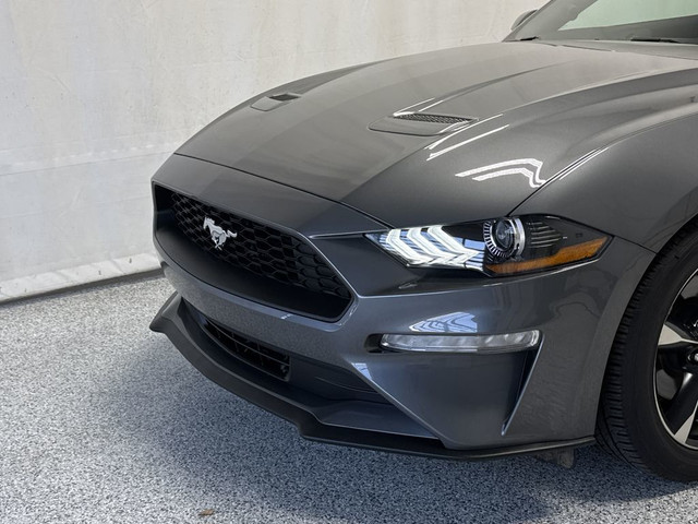 2022 Ford Mustang Ecoboost - NAV, Backup Camera, Cruise Control, in Cars & Trucks in Strathcona County - Image 4