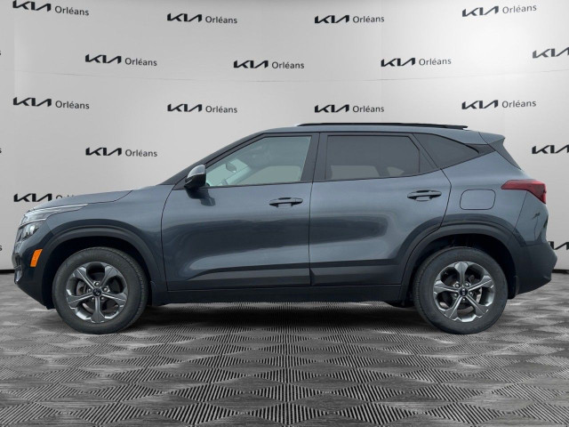 2021 Kia Seltos in Cars & Trucks in Ottawa - Image 2