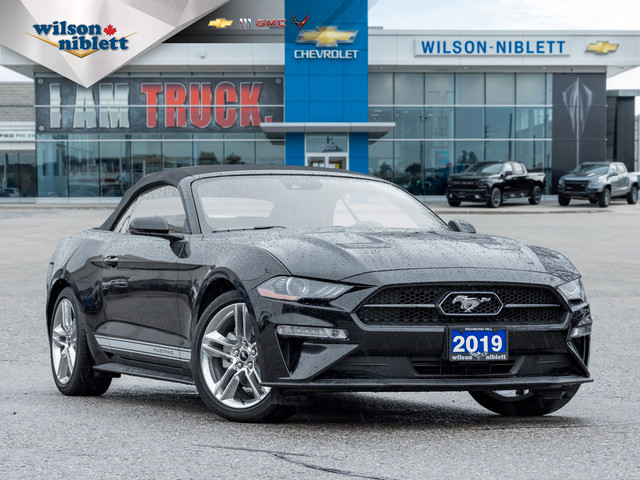  2019 Ford Mustang Cooled Seats | Leather Wrapped Steering Wheel in Cars & Trucks in Markham / York Region