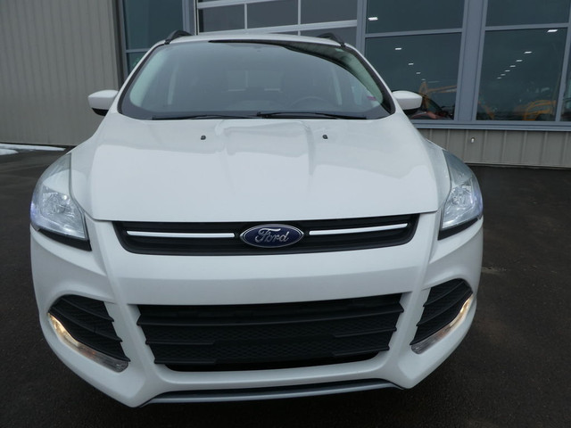  2015 Ford Escape 4WD, Leather, Sunroof, Back Up Camera in Cars & Trucks in Moncton - Image 2