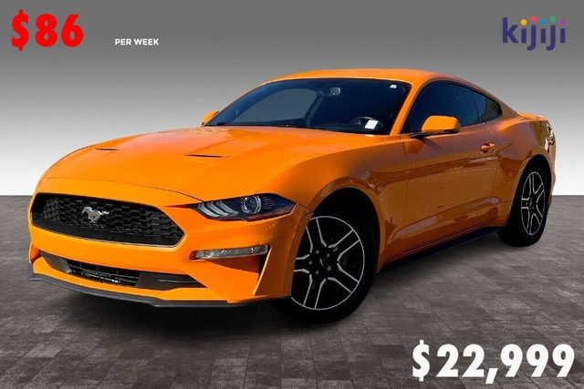 2019 Ford Mustang PREMIUM in Cars & Trucks in Edmonton