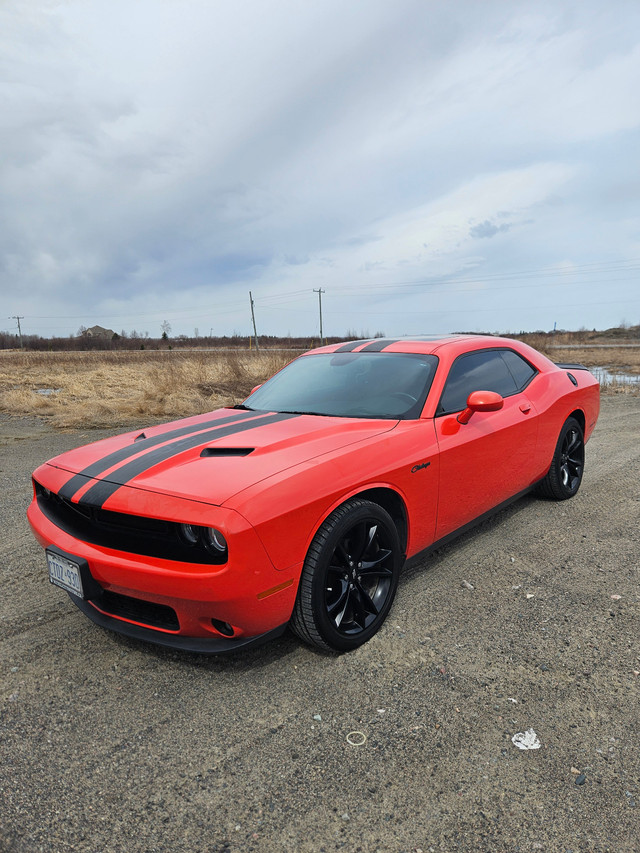 2017 Dodge Challenger SXT in Cars & Trucks in Sudbury