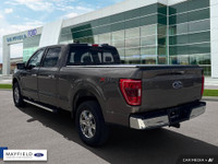 Engine: 8 Cylinder Engine 5.0L L/100Km City: 14.8 L/100Km Hwy: 10.9 Safety Equipment ABS And Driveli... (image 3)