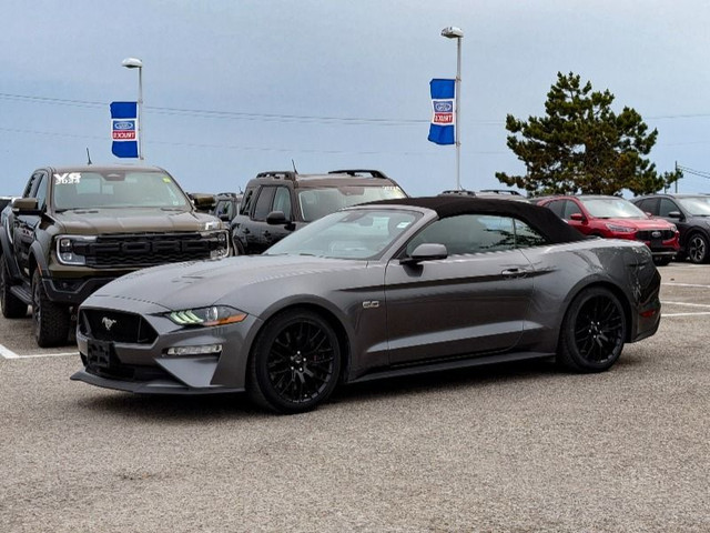 2021 Ford Mustang GT Premium Perfect Summer 'Stang in Cars & Trucks in Kawartha Lakes - Image 4