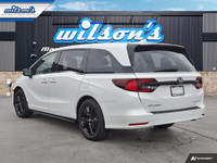 Check out this certified 2024 Honda Odyssey Black Edition | Leather | DVD | Sunroof | Nav | Cooled +... (image 2)