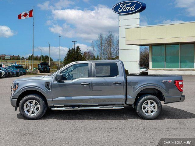 2023 Ford F-150 XL in Cars & Trucks in Kitchener / Waterloo - Image 4