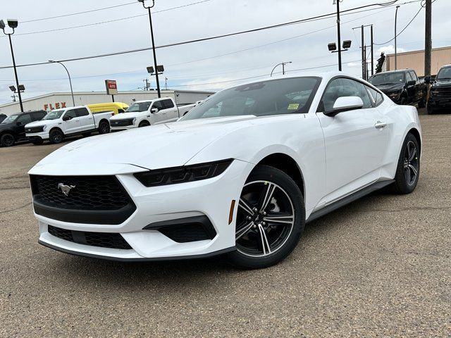 2025 Ford Mustang EcoBoost in Cars & Trucks in Edmonton - Image 2