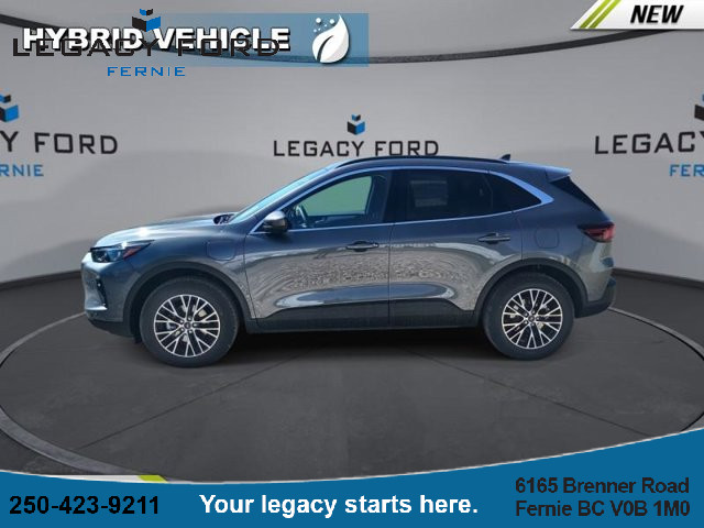 2025 Ford Escape PHEV in Cars & Trucks in Cranbrook