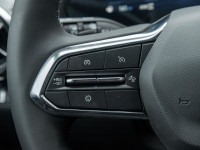 Sport Edition- HD Surround Vision | Black Wheels | Black Emblems | Black Mirror Caps | Roof Rails |... (image 9)