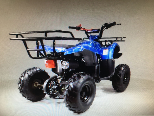 2023 BRAND NEW TAO MOTOR 125D ATV / 125 cc KIDS in ATVs in Brandon - Image 3