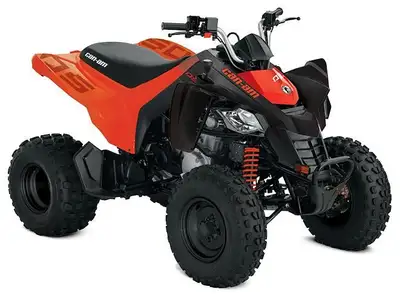 2025 Can-Am DS 250 Introducing the 2025 Can-Am DS 250 in sleek Black! This powerful ATV is perfect f...
