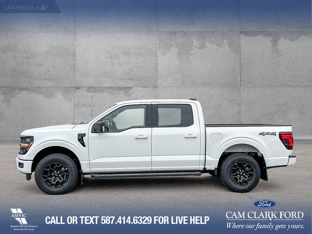 2025 Ford F-150 XLT in Cars & Trucks in Calgary - Image 4