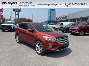 2019 Ford Escape SE 4WD