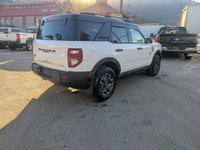 Auto Start/Stop, BLIS w/ Cross Traffic, Engine Block Heater, FordPass Connect, Hill Start Assist, La... (image 2)