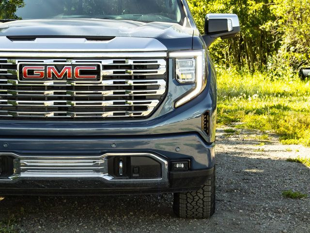 2025 GMC Sierra 1500 Denali in Cars & Trucks in Edmonton - Image 3