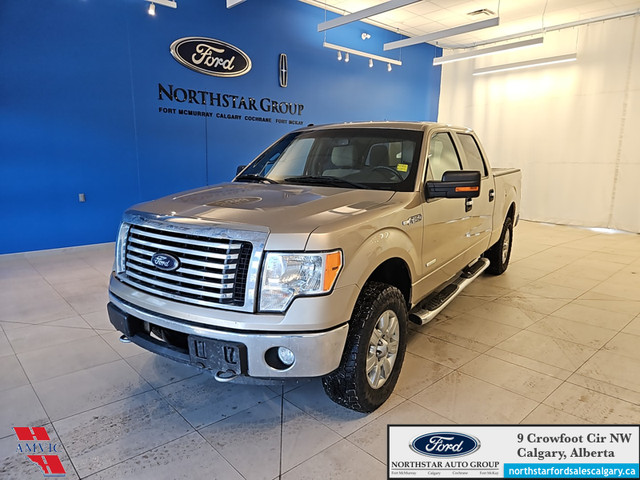 2012 Ford F-150 XLT SPRING CLEANING CLEARANCE EVENT!! - MECHANIC in Cars & Trucks in Calgary