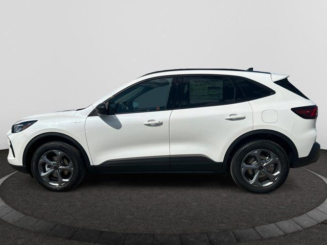 2025 Ford Escape ST-Line in Cars & Trucks in Regina - Image 2