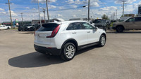 Cadillac XT4 null ~An AMVIC licensed dealer~ Engine: 4 Cylinder Engine 2.0L L/100Km City: 10.9 L/100... (image 4)
