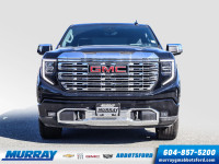 FREIGHT, Federal Air Conditioning Excise Tax, Denali Preferred Equipment Group, Engine, 6.2L Ecotec3... (image 1)
