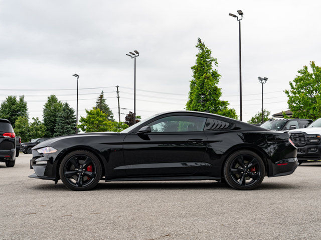 2022 Ford Mustang GT in Cars & Trucks in Barrie - Image 4