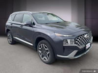 ==== 2021 Hyundai Santa Fe Hybrid Preferred AWD w/Trend Package | Panoramic Sunroof | Leather | Navi... (image 7)