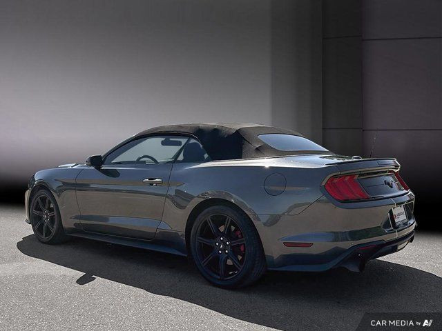 2019 Ford Mustang Convertible | Automatic | Turbocharged | in Cars & Trucks in Cambridge - Image 3