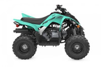 2024 Yamaha RAPTOR 110