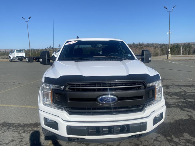 2020 Ford F-150 XLT in Cars & Trucks in New Glasgow - Image 2