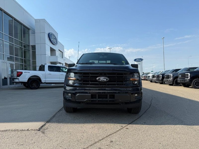 2025 Ford F-150 XLT 4WD SuperCrew 5.5' Box in Cars & Trucks in Edmonton - Image 2