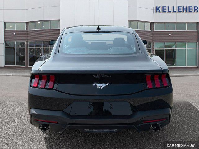 2025 Ford Mustang EcoBoost in Cars & Trucks in Brandon - Image 4