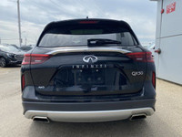 CLEAN CARFAX, Heated Front Seats, Back up Camera, Dual Screen Display, PANORAMIC SUNROOF, Power Tail... (image 3)