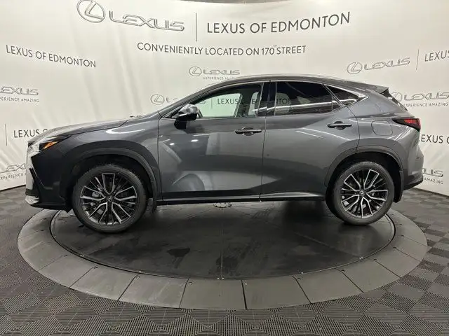 2024 Lexus NX 350 EXECUTIVE PACKAGE dans Autos et camions dans Ville d’Edmonton - Image 17
