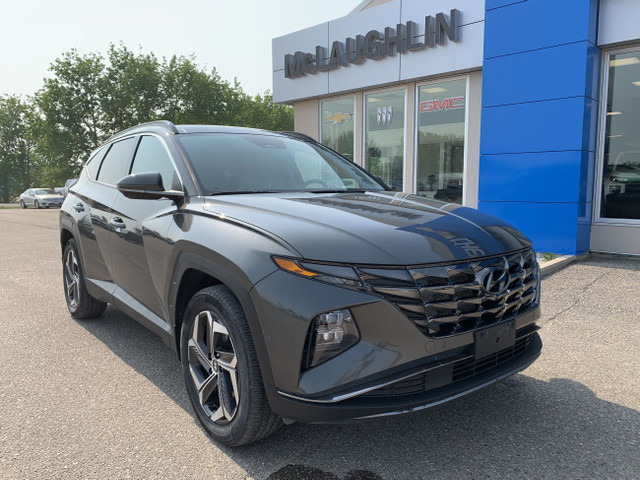 2022 Hyundai Tucson Hybrid Ultimate in Cars & Trucks in Brandon - Image 4